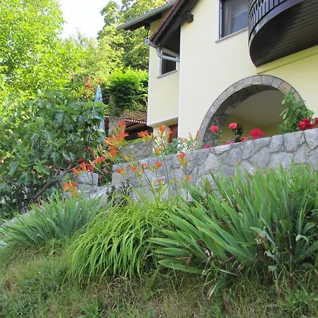 Vineyard Pokorny Holiday home Krsko