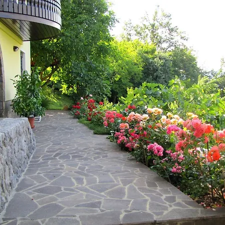 Vineyard Pokorny Holiday home *